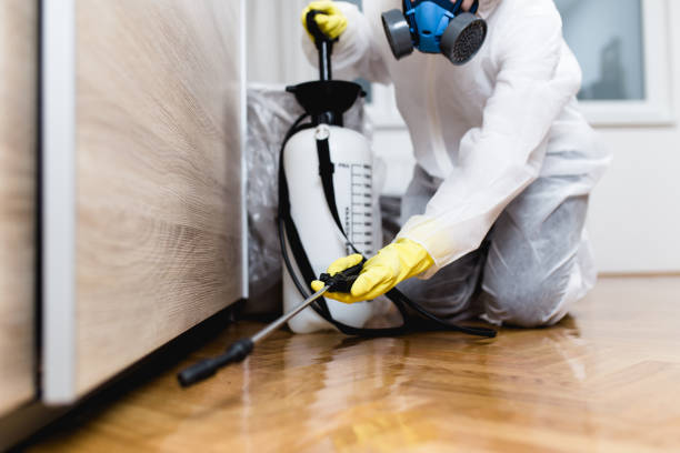 Best Cockroach Control Services  in Niverville, NY