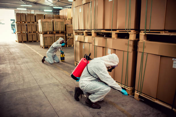Best Affordable Pest Control Services  in Niverville, NY