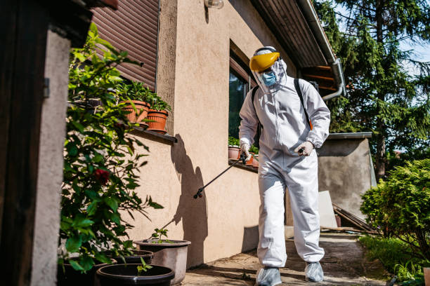 Best Residential Pest Control  in Niverville, NY