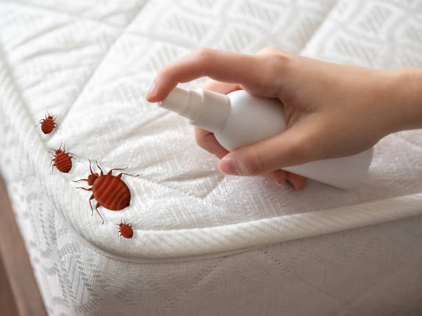 Best Pest Prevention Services  in Niverville, NY