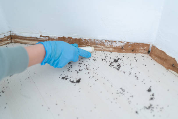 Best Residential Pest Control  in Niverville, NY